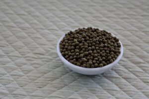 掃除が苦手なあなたにおすすめの家事代行利用法は？