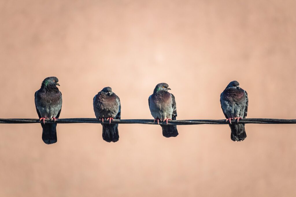 家事代行を依頼する方法はどのようなものがありますか？