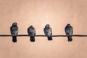 家事代行を依頼する方法はどのようなものがありますか？