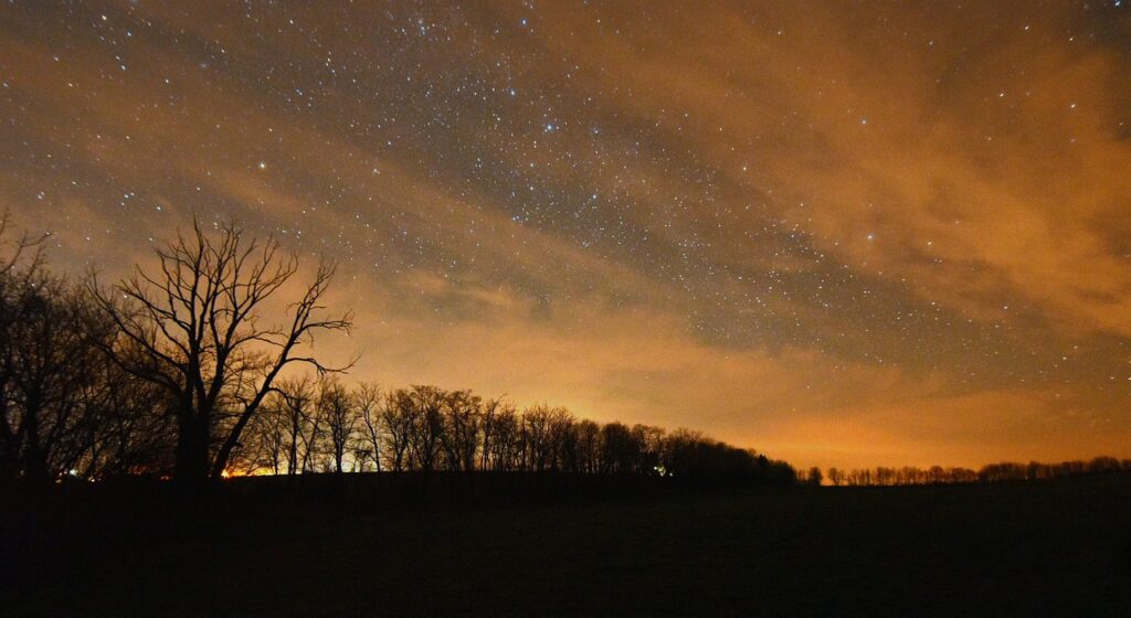 平日夜に利用できる家事代行サービスのメリットは？