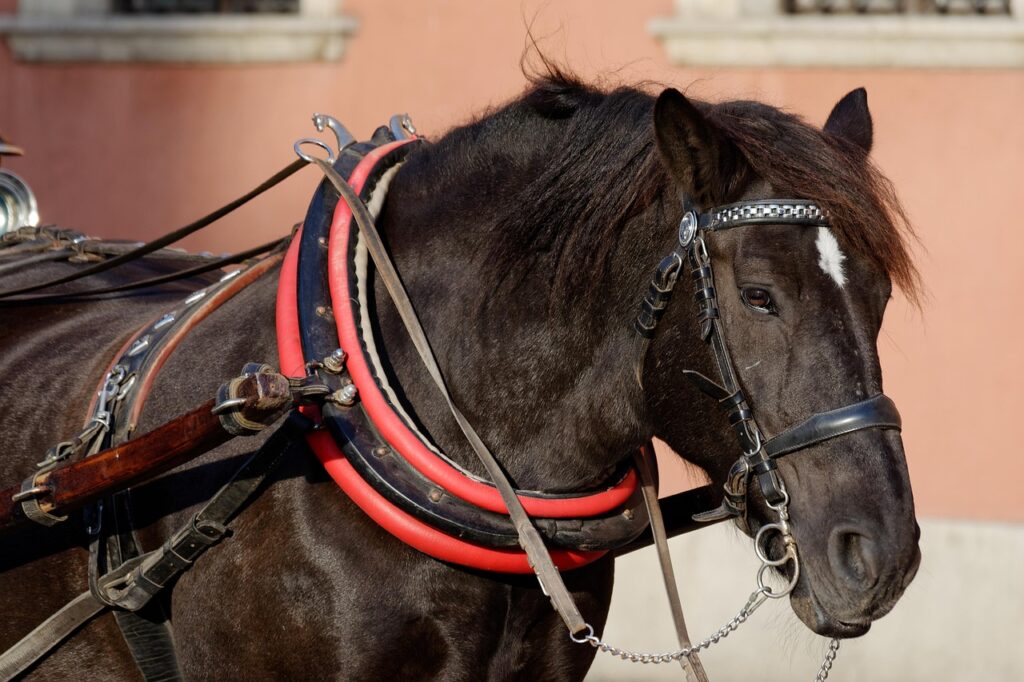 家事代行を利用して子育てをサポートする定期プランは？