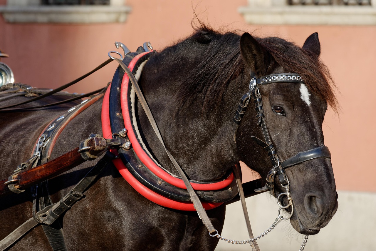 家事代行を利用して子育てをサポートする定期プランは？
