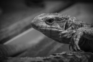 家事代行を利用する際の隔週おすすめプランは？