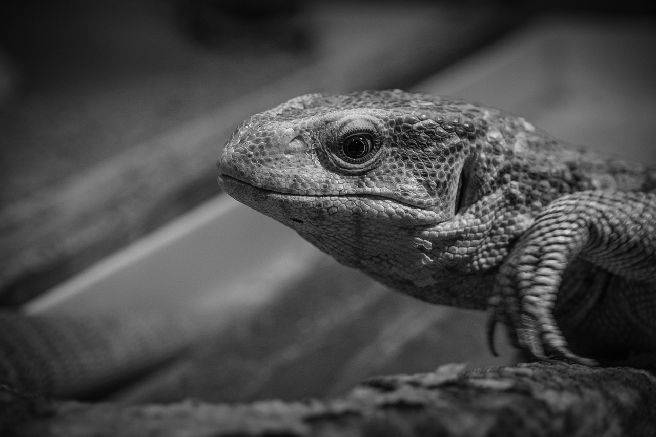 家事代行を利用する際の隔週おすすめプランは？