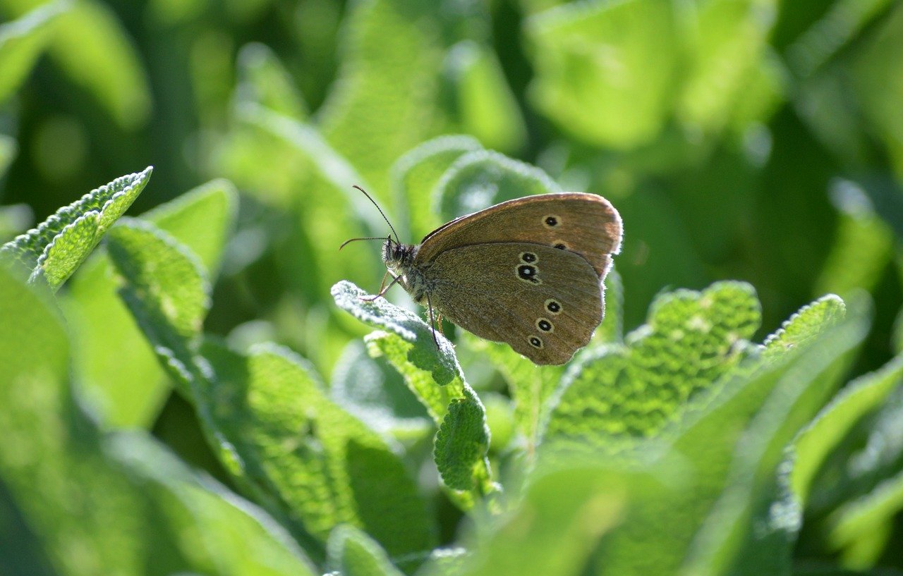 キッチン掃除代行の料金はどれくらいかかるの？