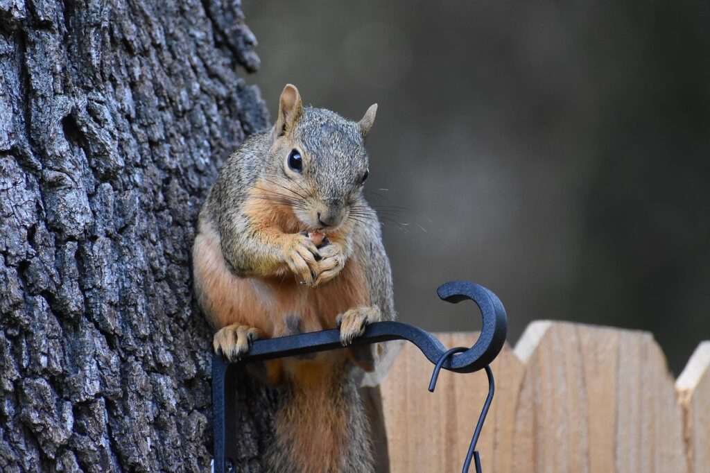 家事代行の効果を実際に感じた体験談は？