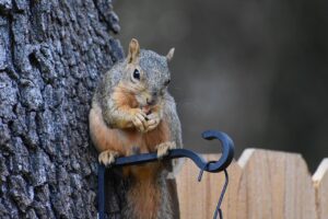 家事代行の効果を実際に感じた体験談は？