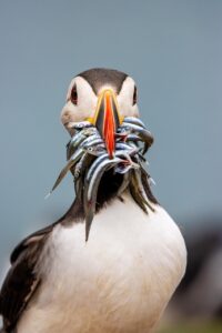 家事代行を定期的に管理するためのおすすめツールは？