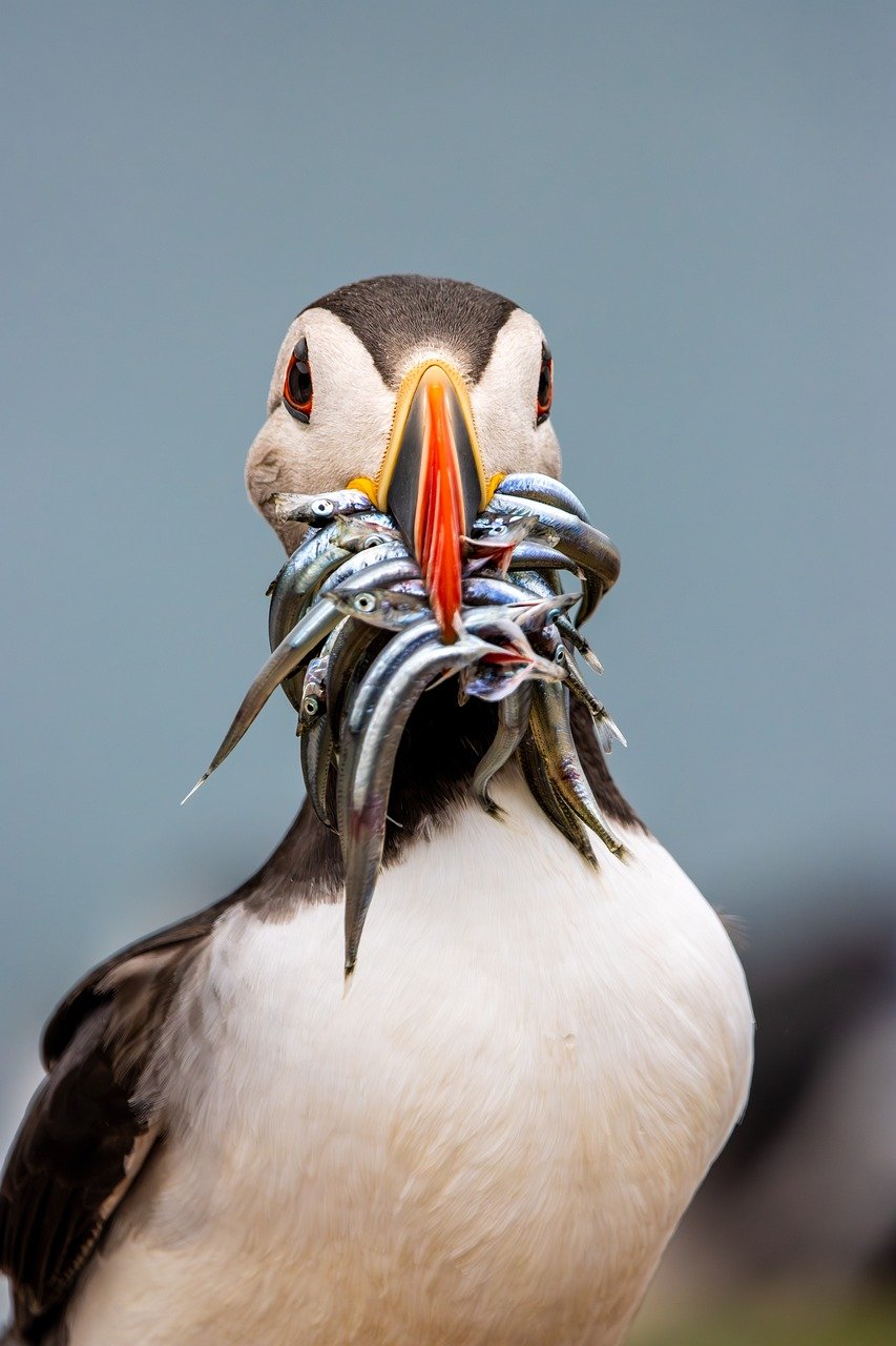 家事代行を定期的に管理するためのおすすめツールは？