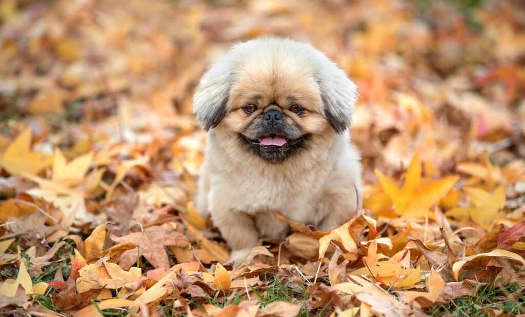 家事代行の口コミを参考にした予約方法は？