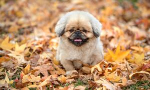 家事代行の口コミを参考にした予約方法は？