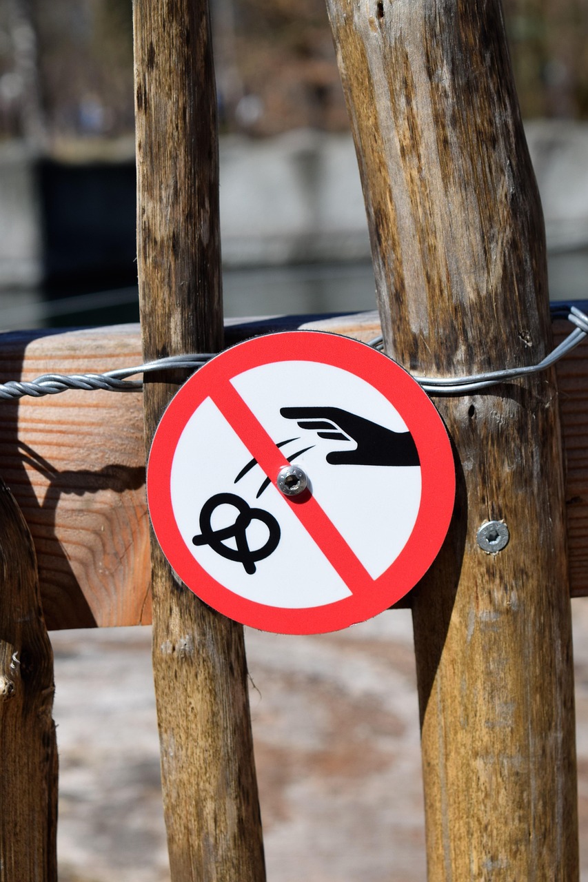 ゴミ出し代行を利用するメリットとデメリットは？