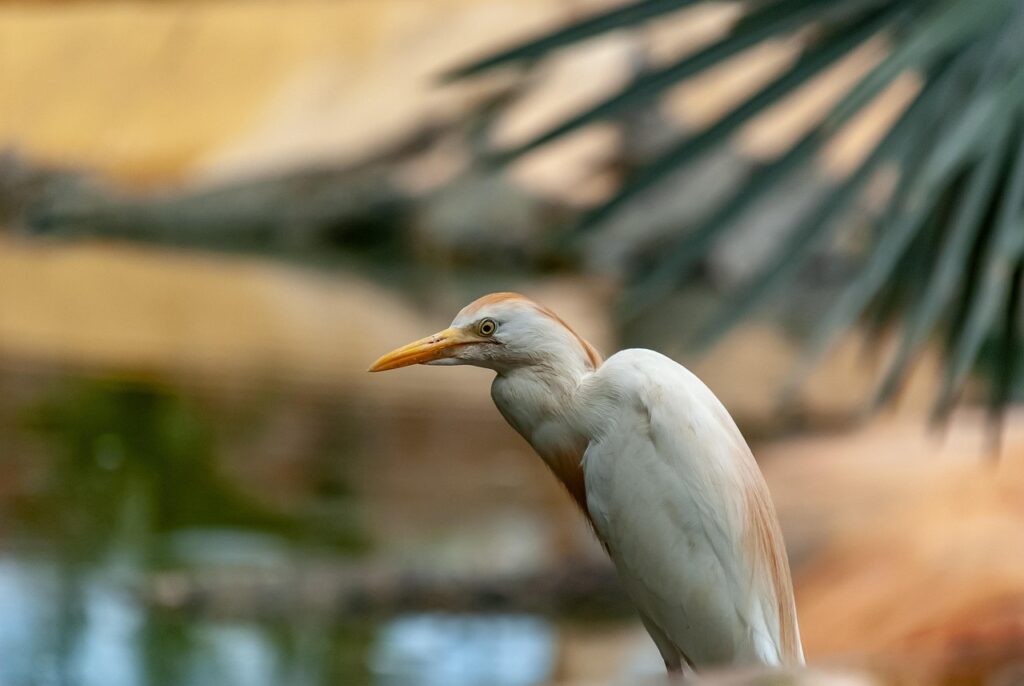 鍵預かりと家事代行のサービスはどのように利用できるの？