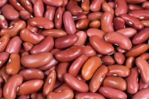 共働き家庭におすすめの料理代行サービスを比較してみました？